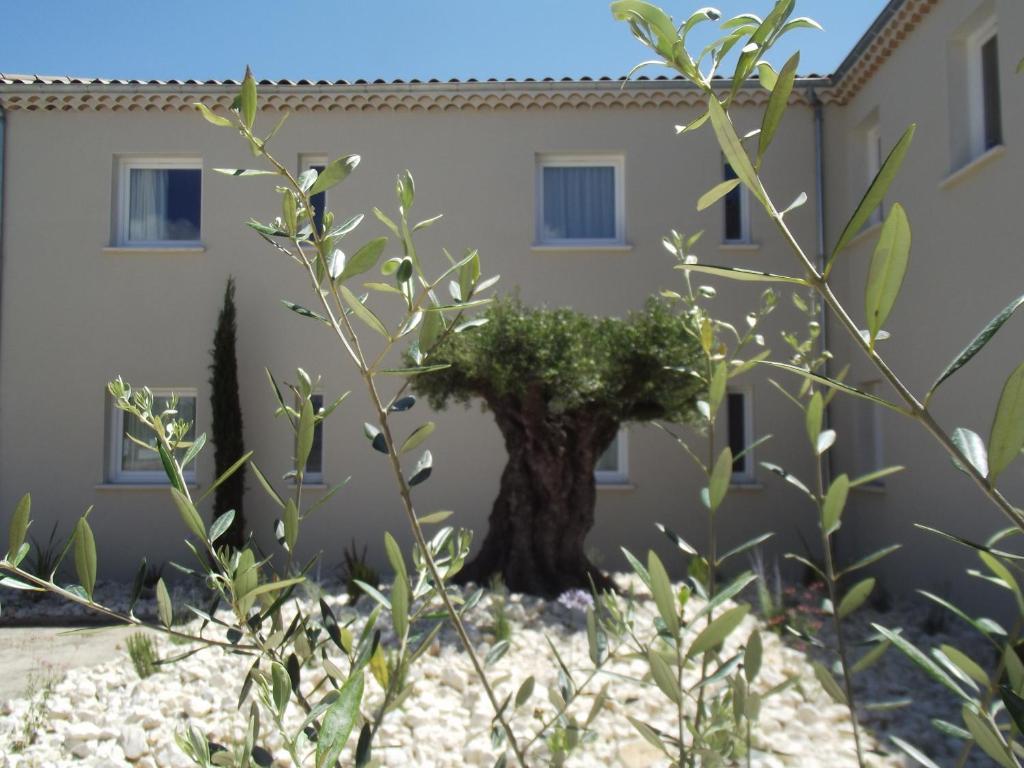Le Domaine Des Oliviers Hotell Pierrelatte Exteriör bild